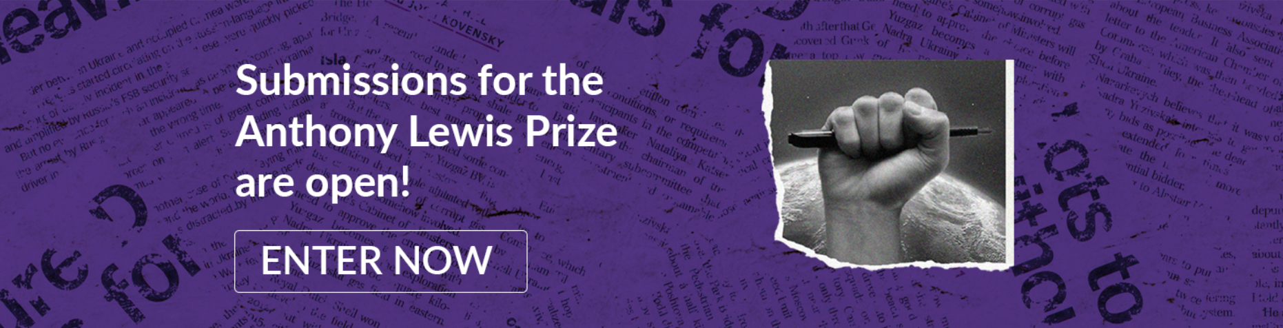 Anthony Lewis prize